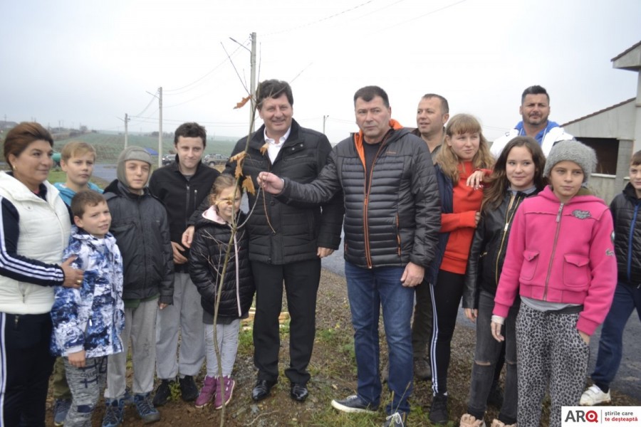 La Frumușeni, în cartierul nou, s-au plantat 500 de puieți de arbori