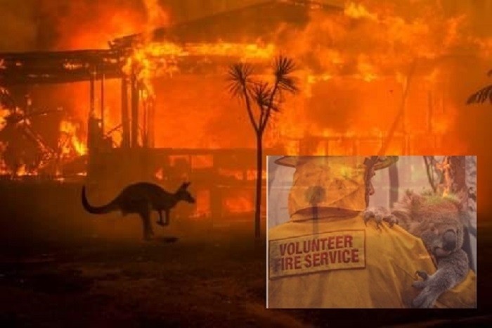 Green Report: Aproape 500 de milioane de animale au murit în incendiile din Australia