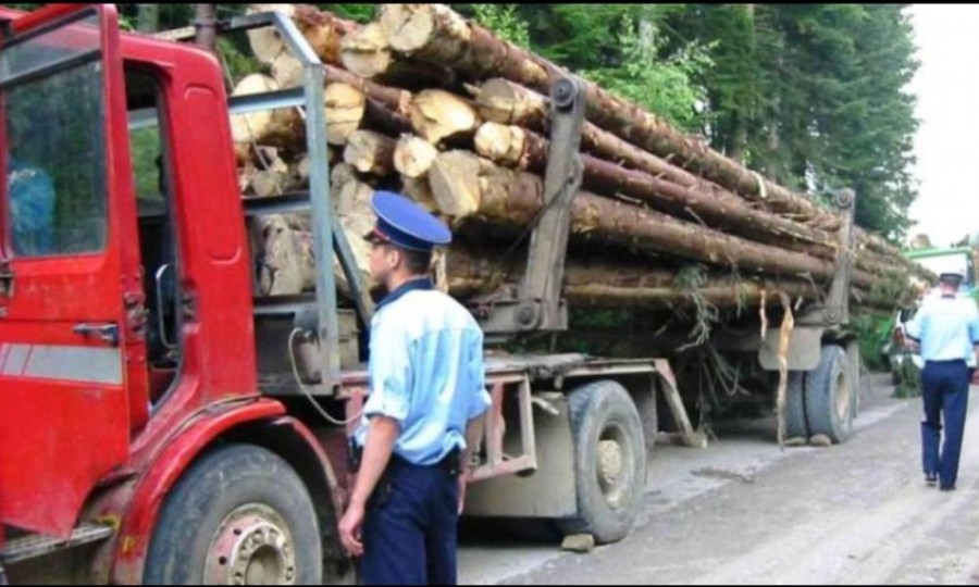 Amenzi de 415.000 de lei pentru transporturi ilegale de lemn, în luna aprilie