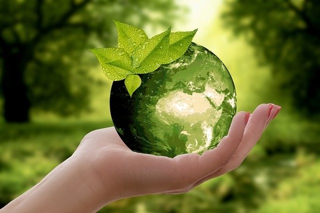 Ziua mondială a mediului înconjurător