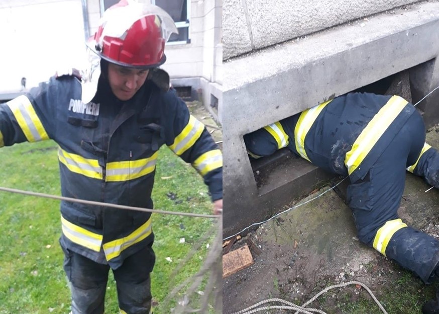 Orice viață contează! Pompierii din Ineu au salvat un cățel căzut într-un canal de ventilație