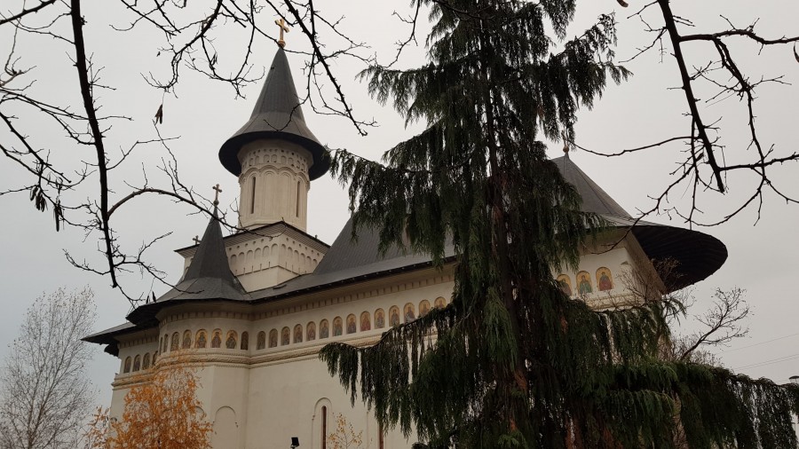 ÎN IMAGINI – Liturghia Arhierească la Mănăstirea Gai, în Duminica dinaintea Nașterii Domnului