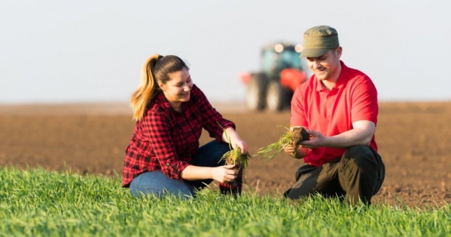 România va beneficia, în perioada 2021-2022, de un ajutor financiar pentru agricultură de 3,8 miliarde de euro