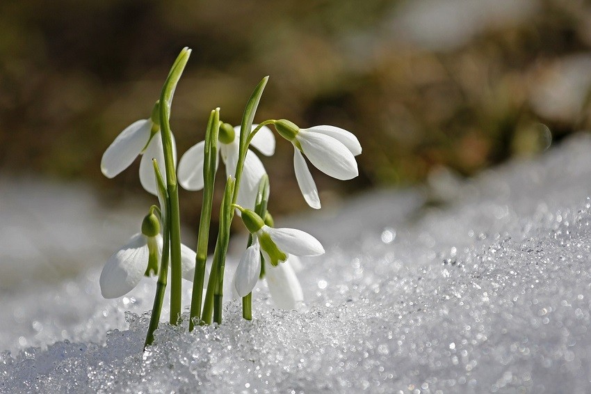 După temperaturi de 22 de grade, iarna revine în 1 martie