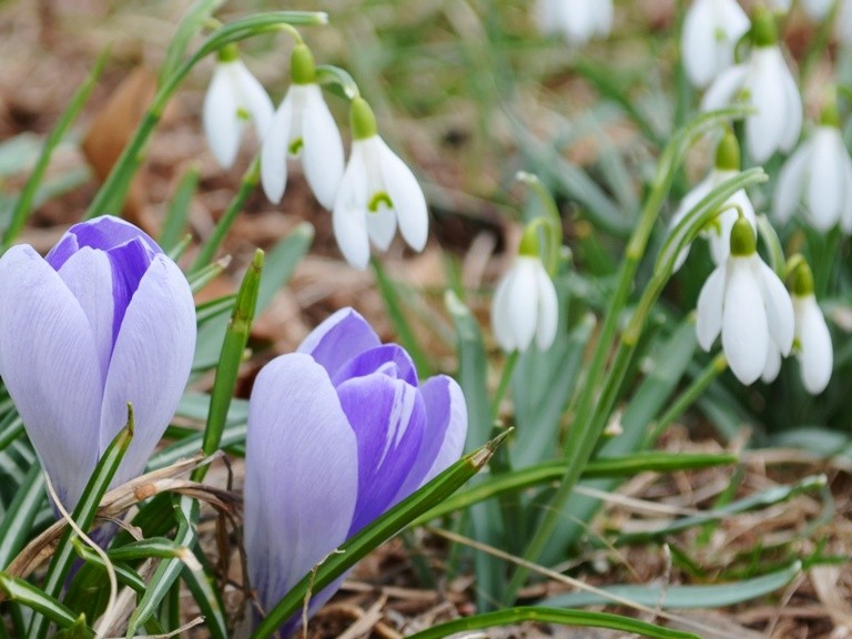 Prognoza meteo până pe 14 martie. Când vin ploile și frigul