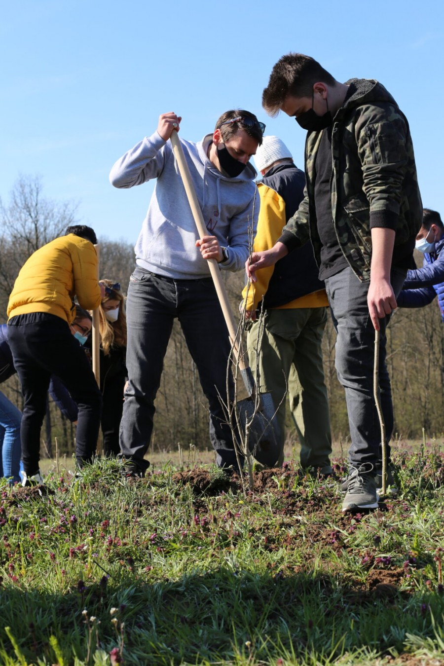 Împreună pentru România. Peste 2000 de puieți de Cer, plantați de Principele Nicolae și voluntari lângă Craiova