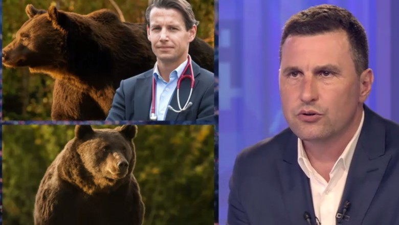 Ministrul mediului schimbă regulile, după cazul ursului Arthur: Nu mai pot veni străini să vâneze pentru un trofeu