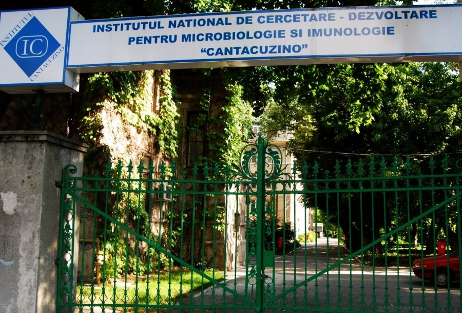 Vești bune de la Institutul Cantacuzino: Polidinul va fi din nou pe piață!