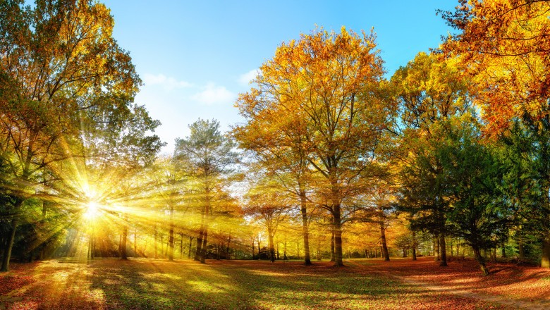 Toamna începe cu temperaturi mai scăzute decât cele specifice perioadei. Prognoza meteo pentru luna septembire