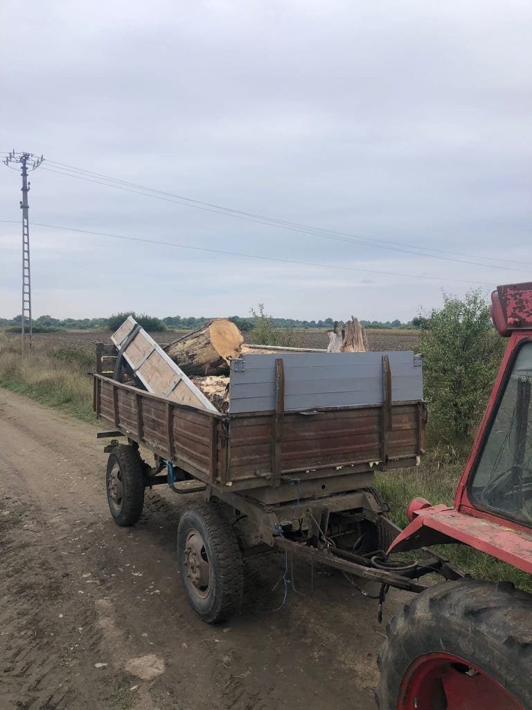 Hoţii de lemne dau atacul până şi în Parcul Natural Lunca Mureşului