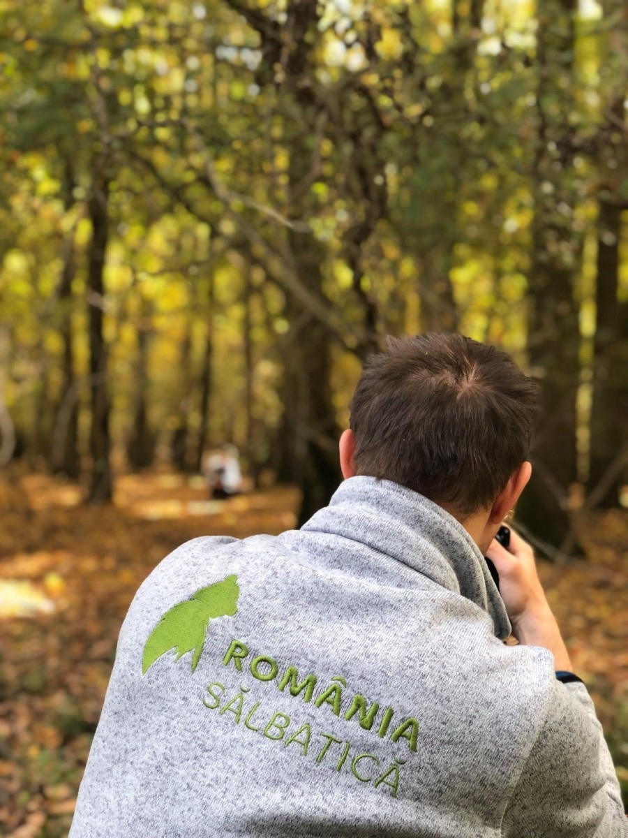 „România Sălbatică” în Parcul Natural Lunca Mureșului
