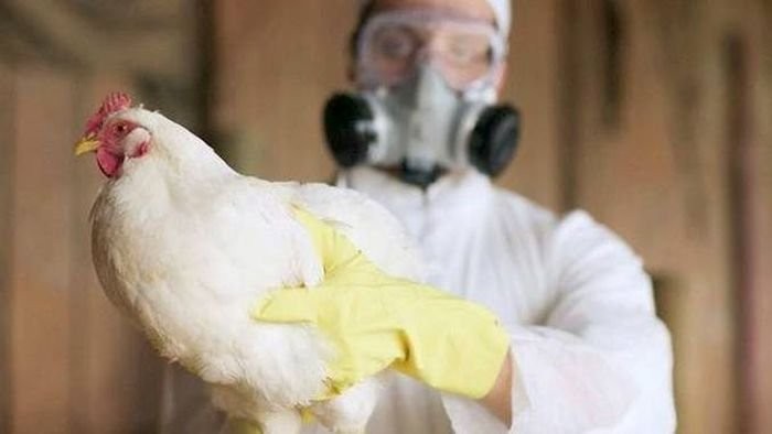 Măsuri de prevenire a apariției focarelor de gripă aviară