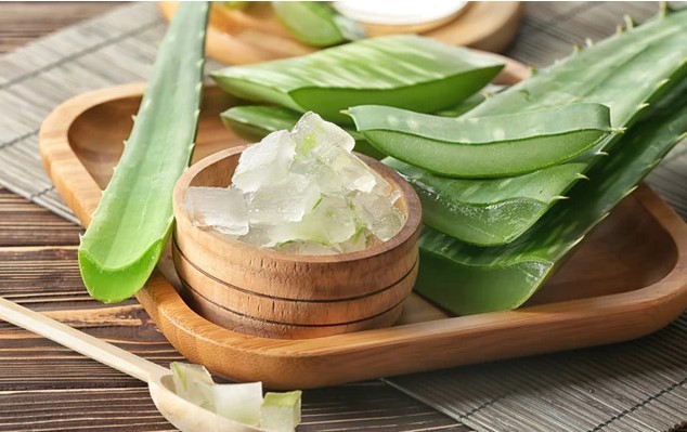 Aloe vera: Proprietăți și Beneficii pentru Sănătate și Frumusețe