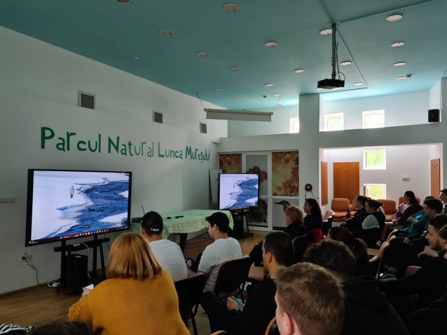 PARTENERIAT ECOLOGIC AL COLEGIULUI PARTICULAR ”VASILE GOLDIȘ” ARAD