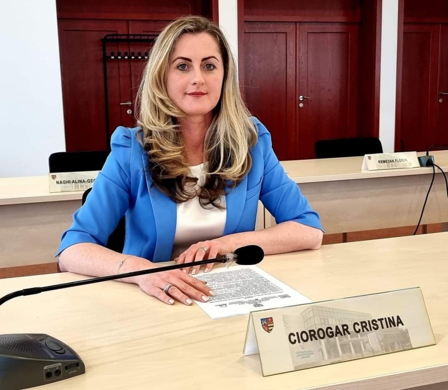 Cristina Ciorogar: „Podul istoric din Lipova, mutilat de incompetența administrației locale!”