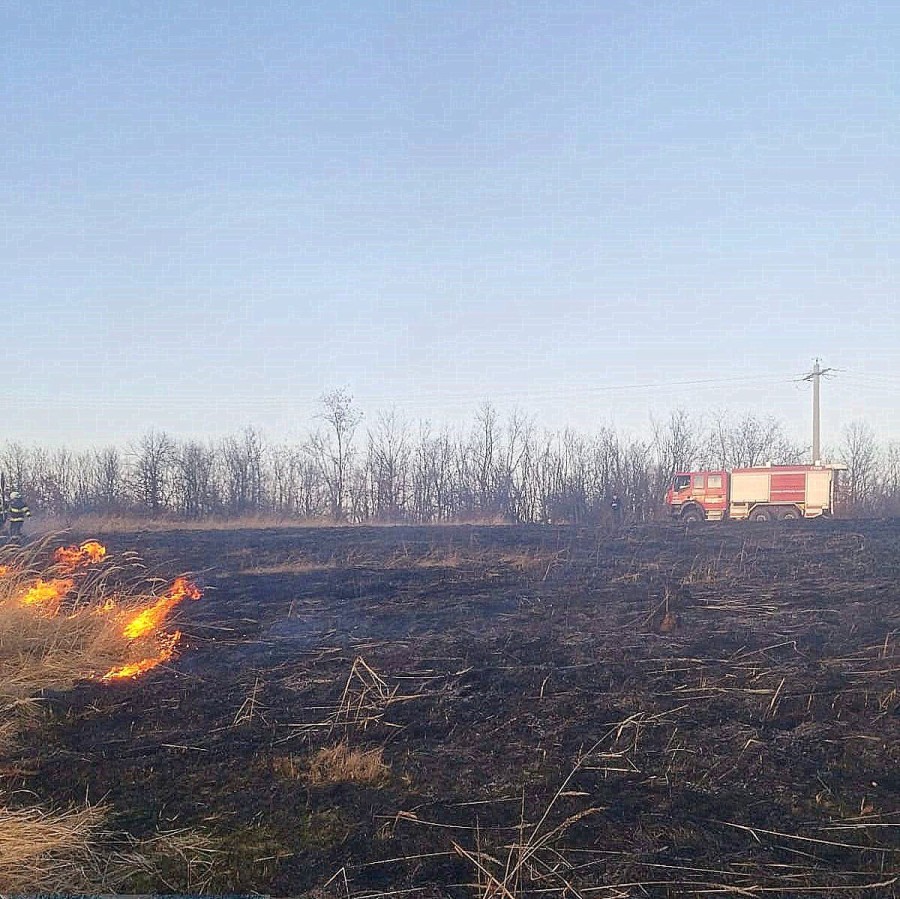 Incendiu produs la vegetație uscată în apropierea drumului din localitatea Luguzău