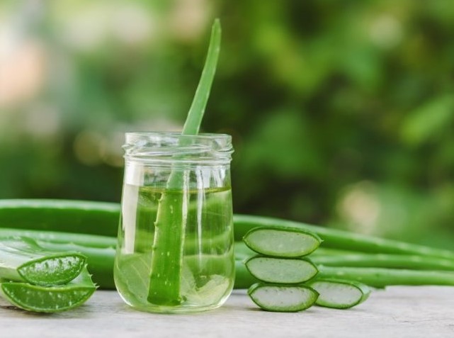 Aloe Vera - Beneficii Remarcabile pentru Piele