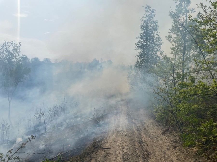 Incendiu izbucnit la vegetație uscată și mărăciniș între localitățile Dulcele și Zimbru