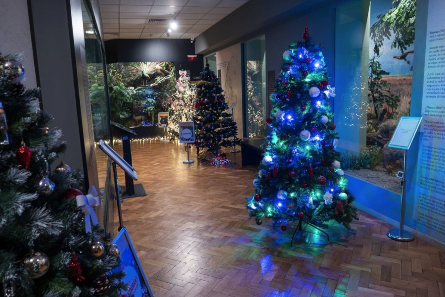 BRAZI DE POVESTE LA MUZEU Ediția a IV-a