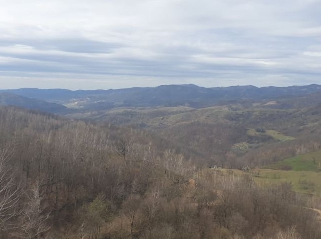 Un român a încercat să fure un tren în Austria și a agresat polițiștii