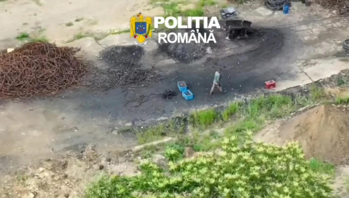 Poliția Transporturi Arad documentează 224 de fapte penale