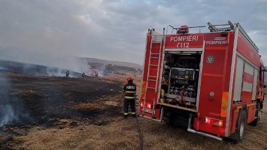 Incendiu de vegetație uscată, în apropiere de Căpâlnaș. Pompierii au intervenit pentru stingerea focarelor VIDEO