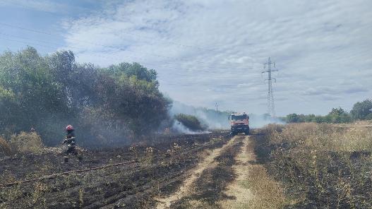 Incendiu de vegetație uscată în zona Câmpul Liniștii din Arad. Focul a fost localizat