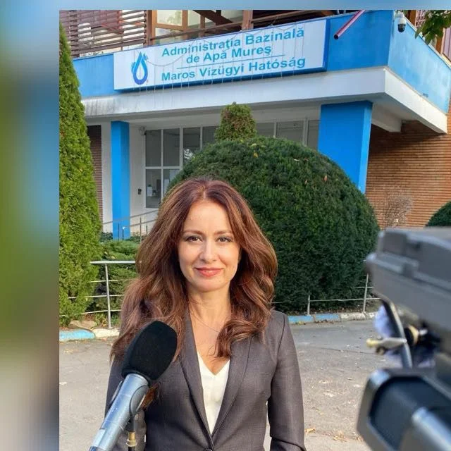 Digul de sticlă din Arad, aproape 300 de panouri avariate de vandali